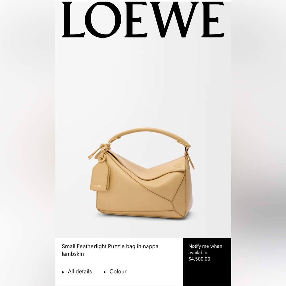 Loewe Pale Yellow Leather Shoulder Bag - Picture 2 of 16